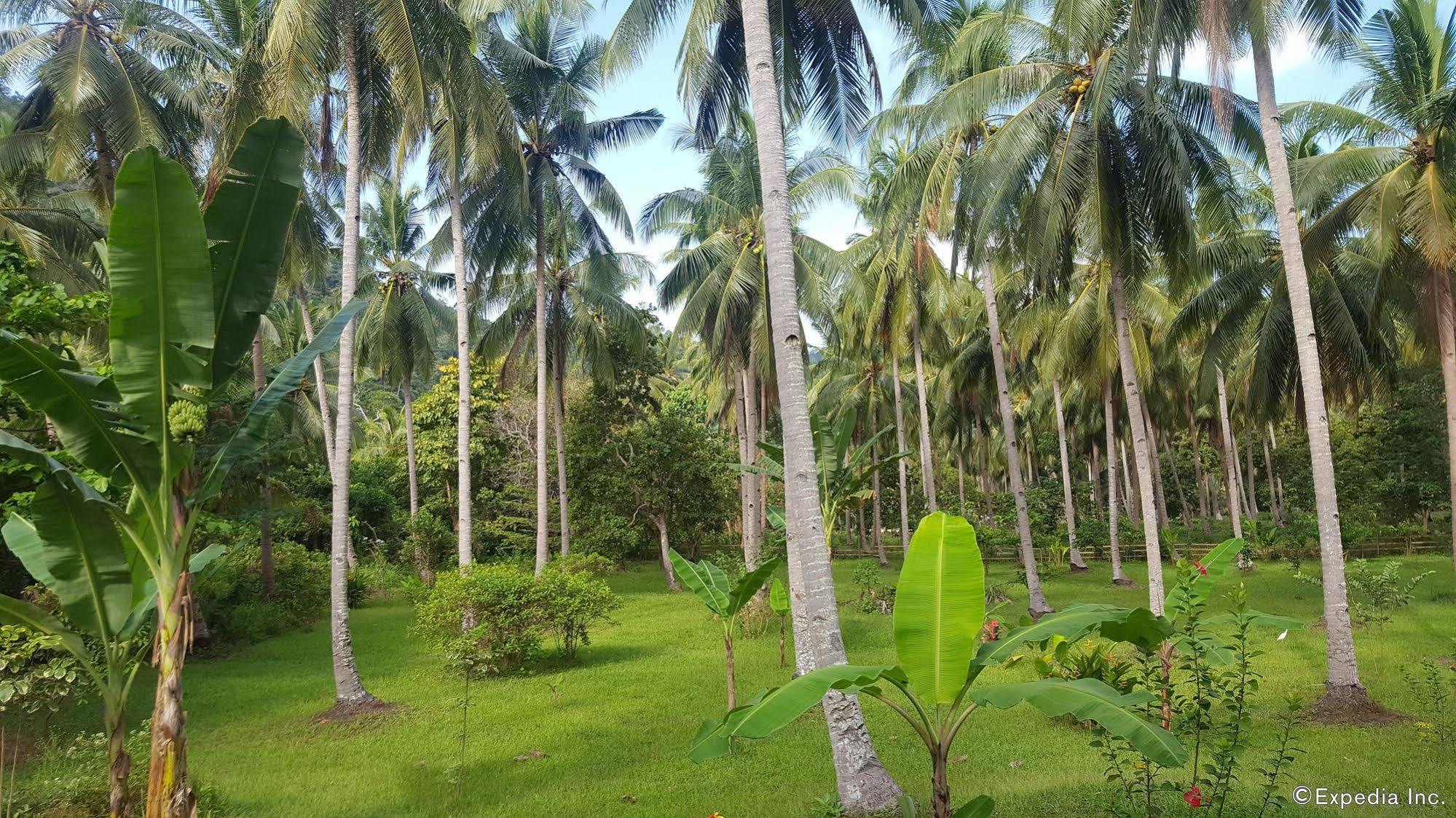 Mangrove Resort Puerto Princesa Ngoại thất bức ảnh