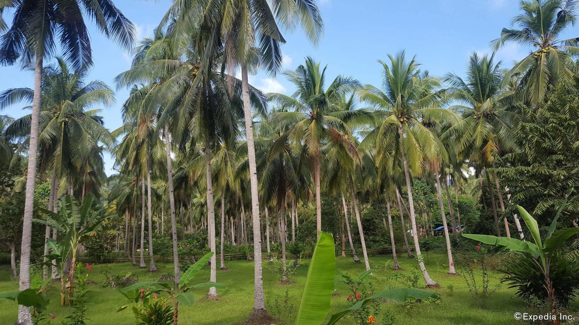 Mangrove Resort Puerto Princesa Ngoại thất bức ảnh